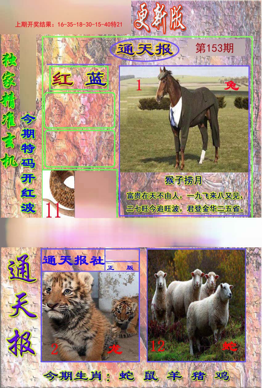 2024153期新通报