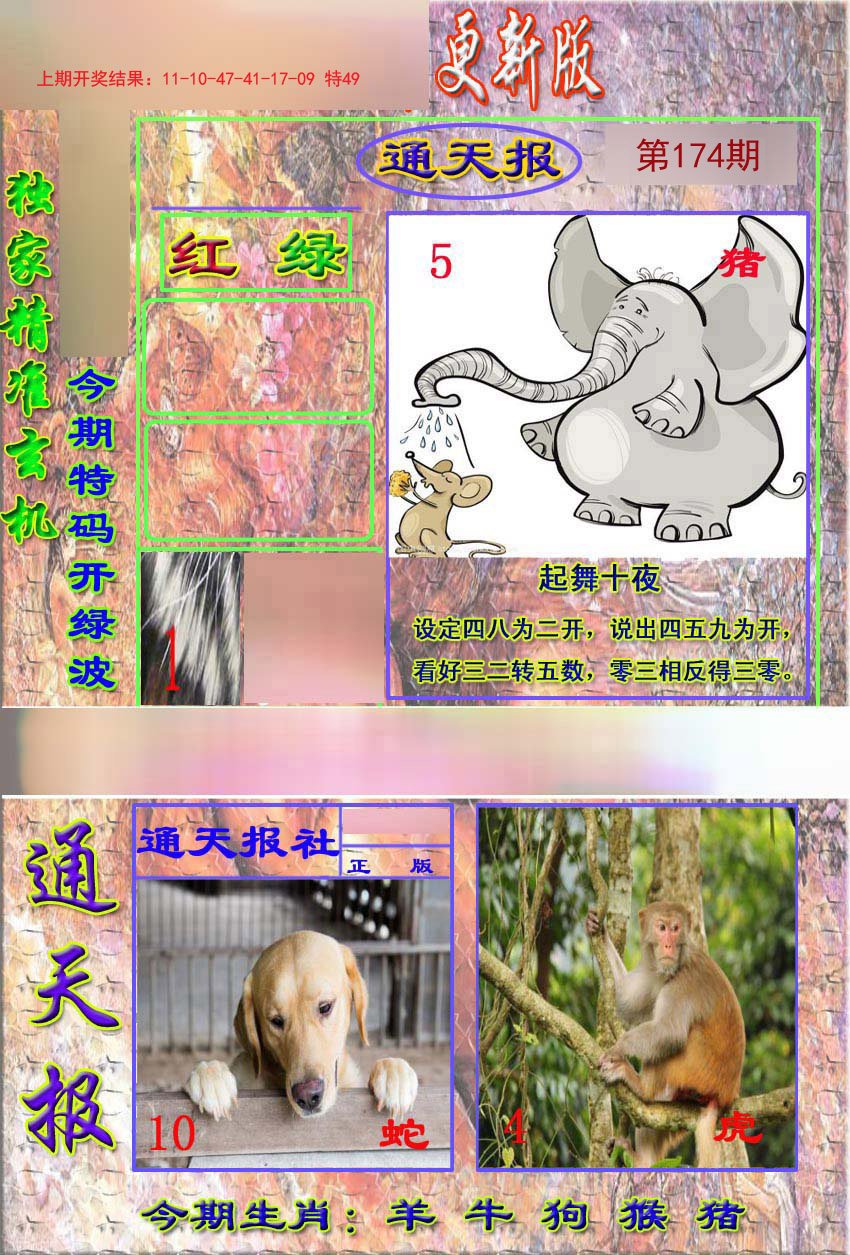 2024174期新通报