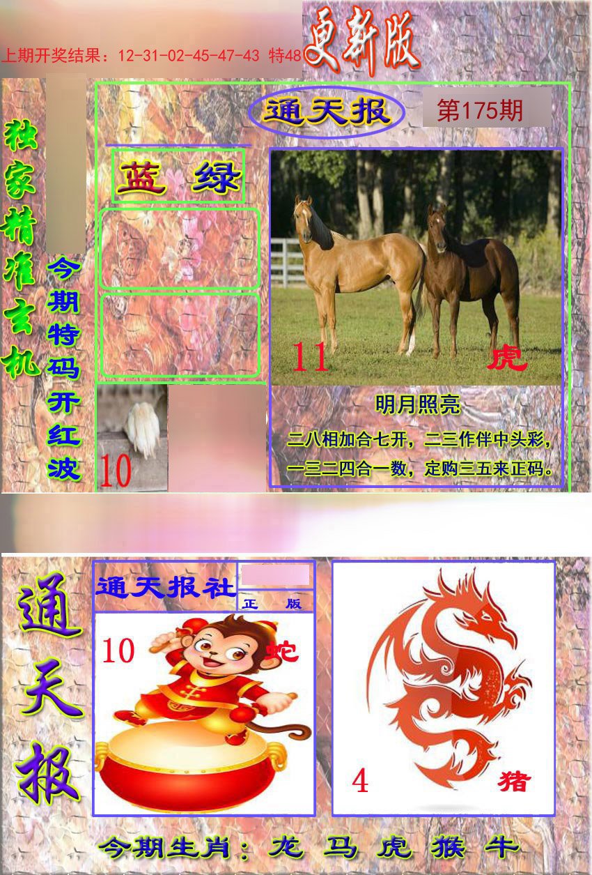 2024175期新通报