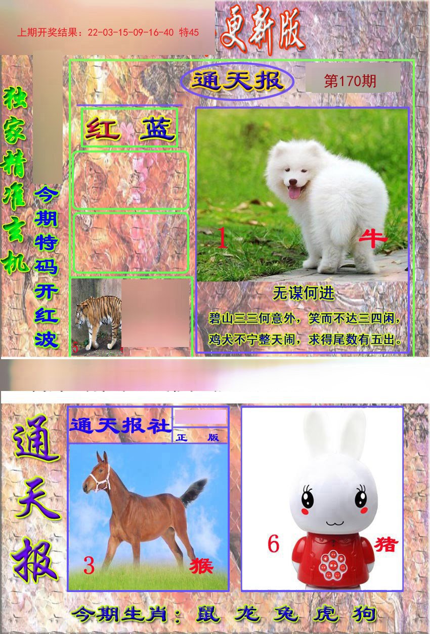 2024170期新通报