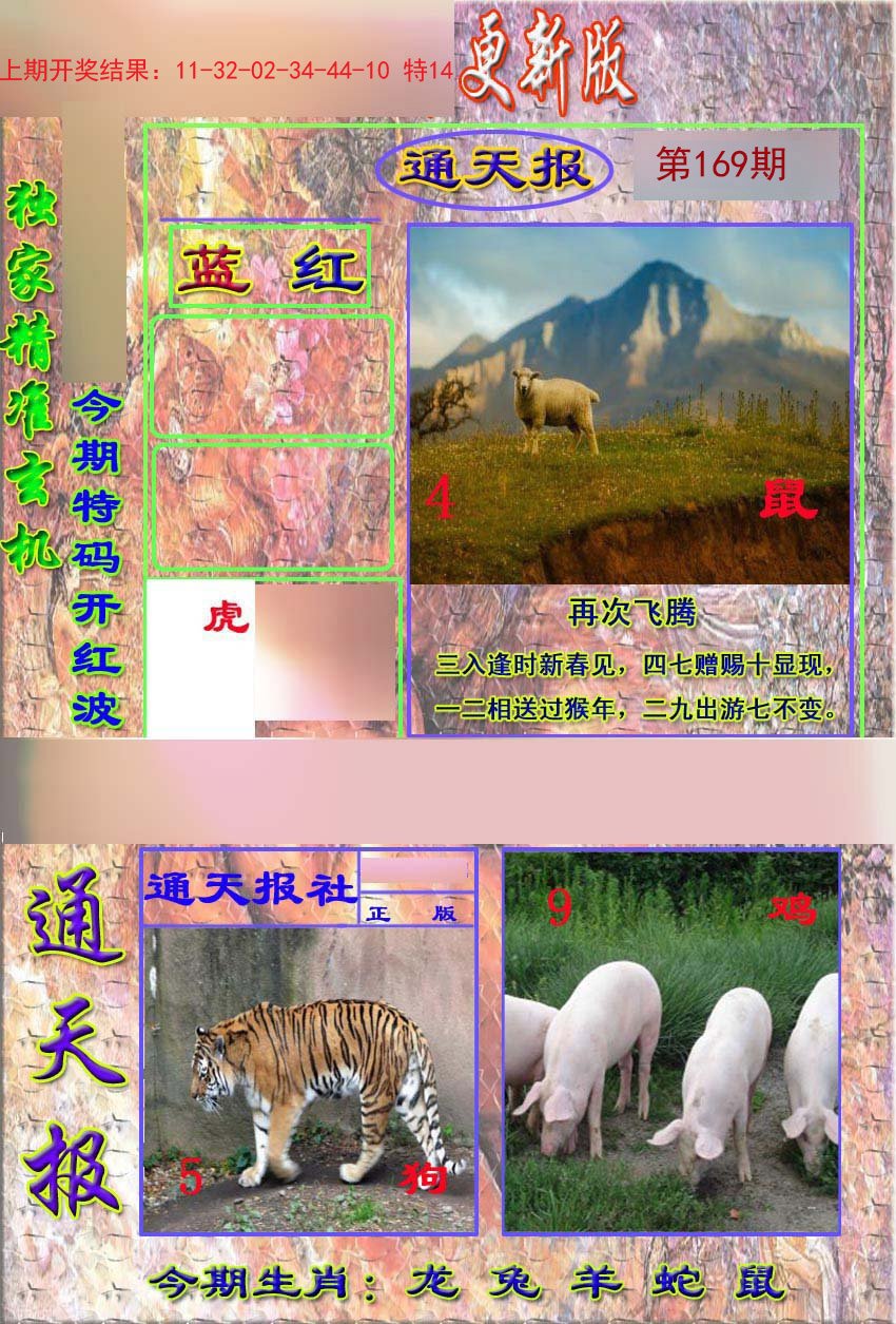 2024169期新通报