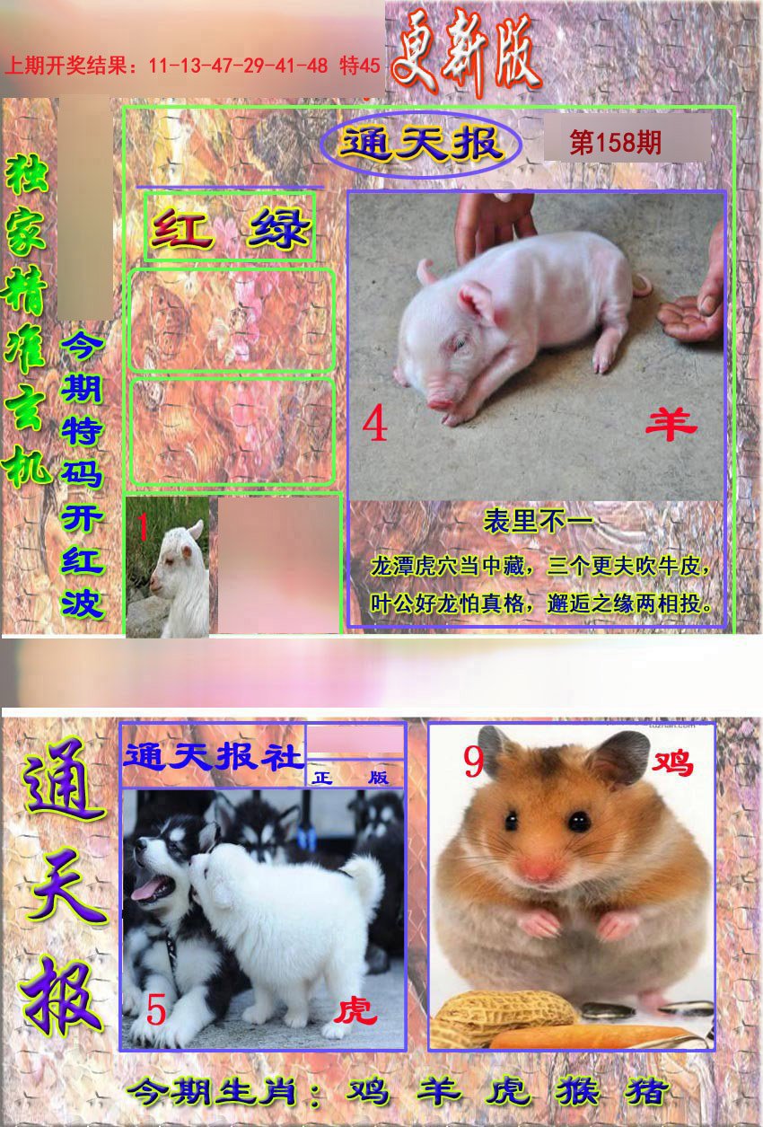 2024158期新通报