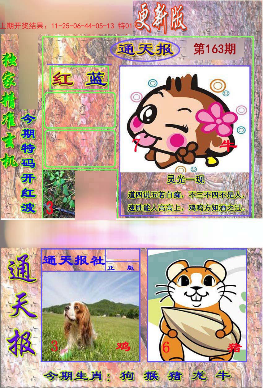 2024163期新通报
