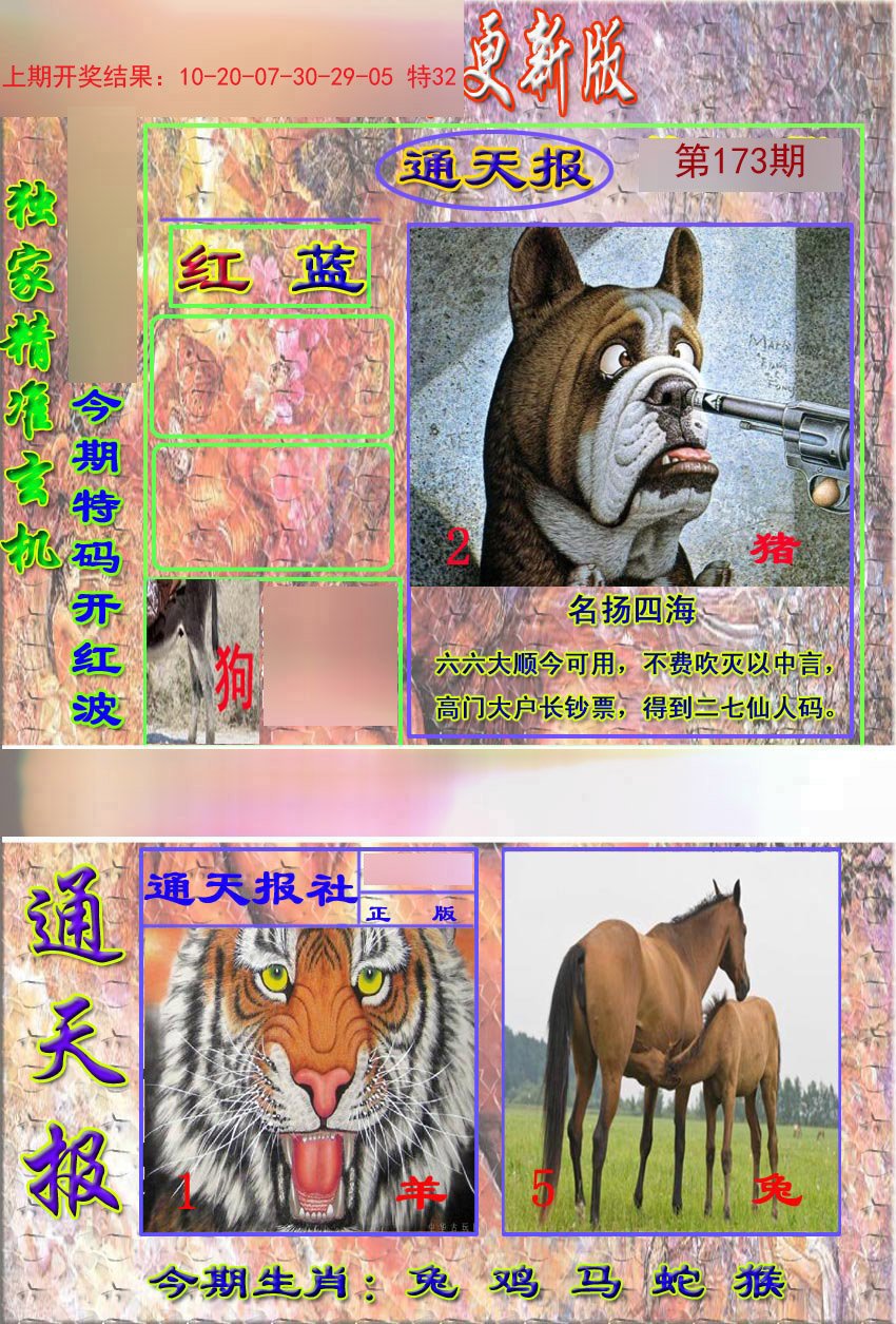2024173期新通报