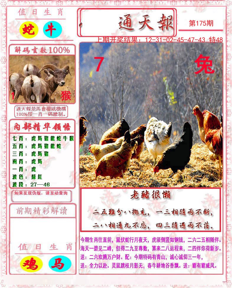 2024175期马经通天报