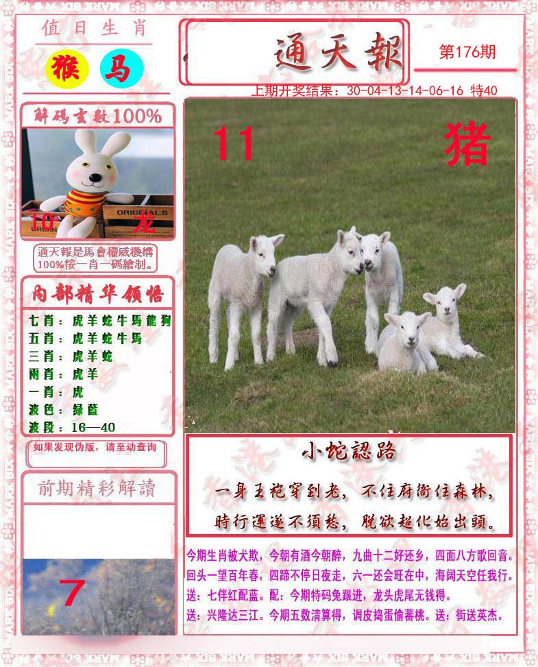2024176期马经通天报