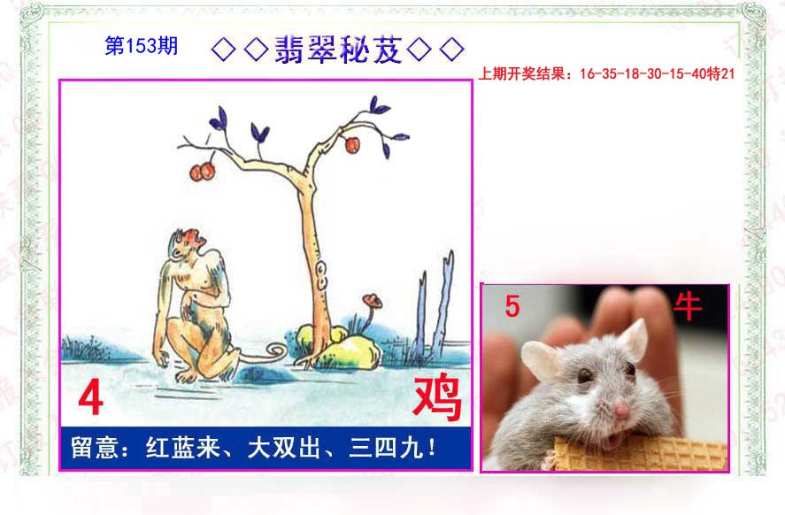 2024153期翡翠报