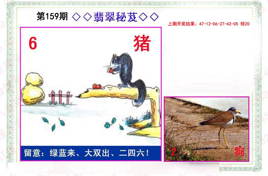 2024159期翡翠报
