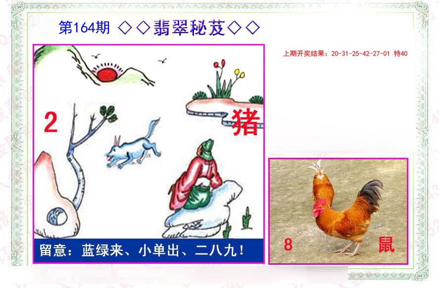 2024164期翡翠报