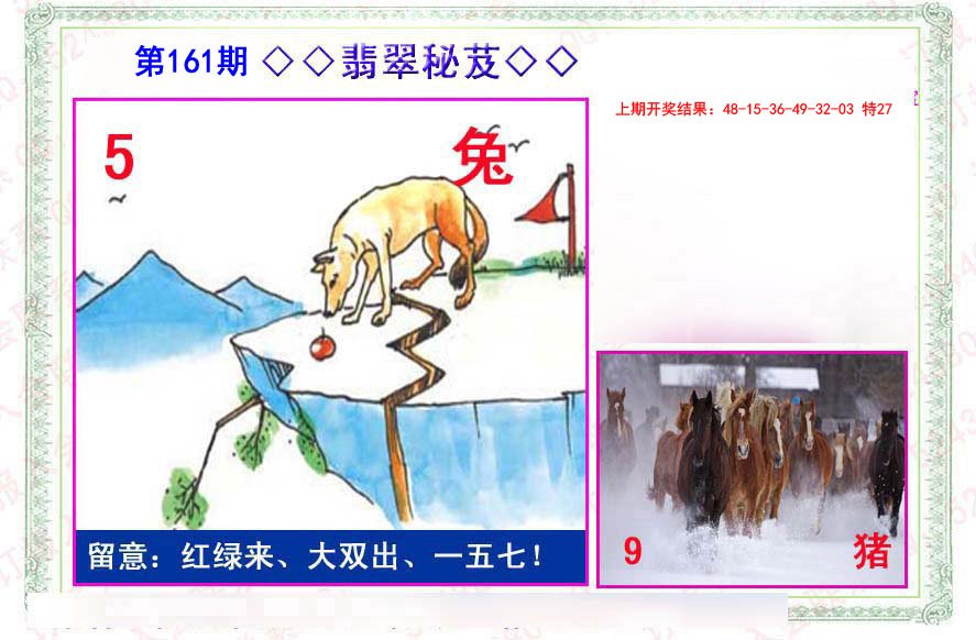 2024161期翡翠报