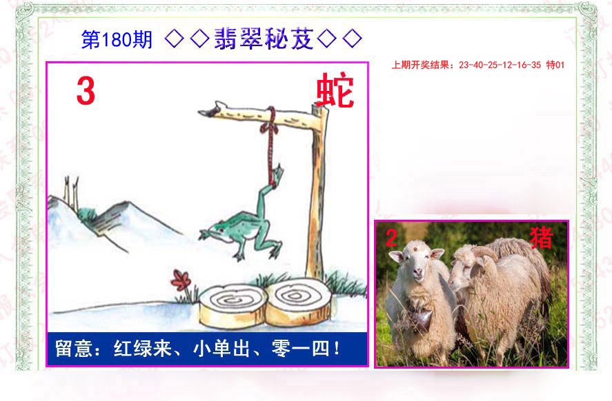 2024180期翡翠报
