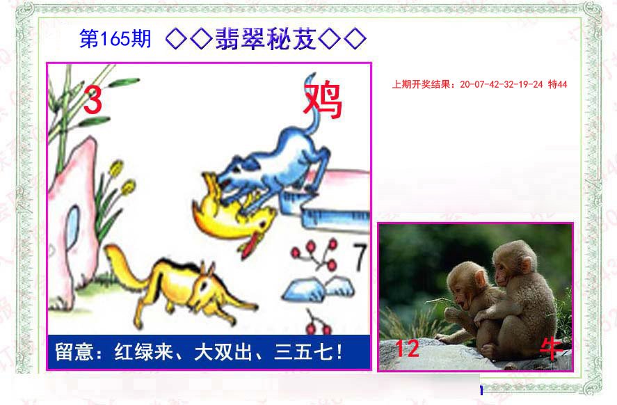 2024165期翡翠报