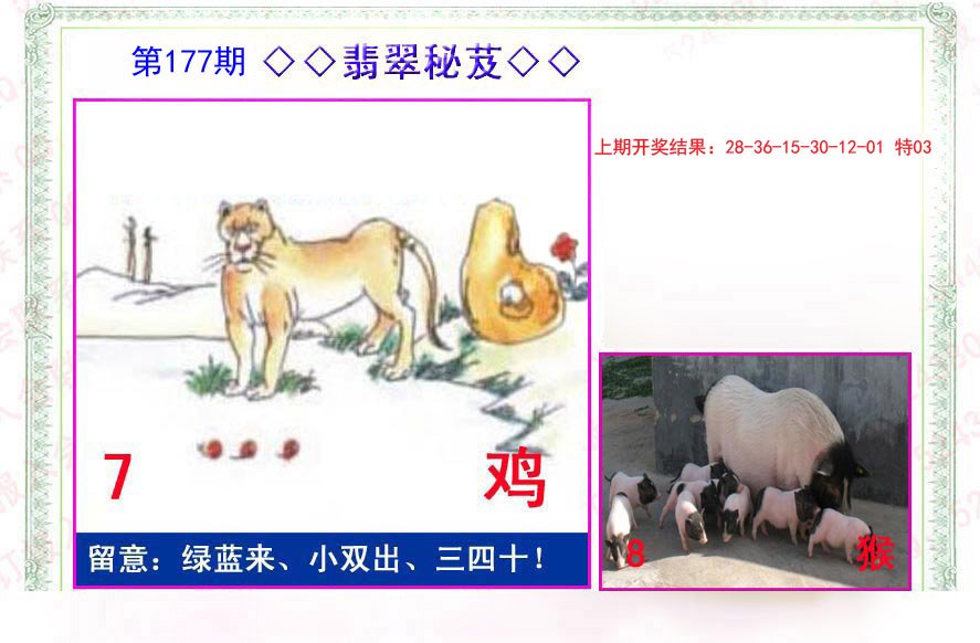 2024177期翡翠报