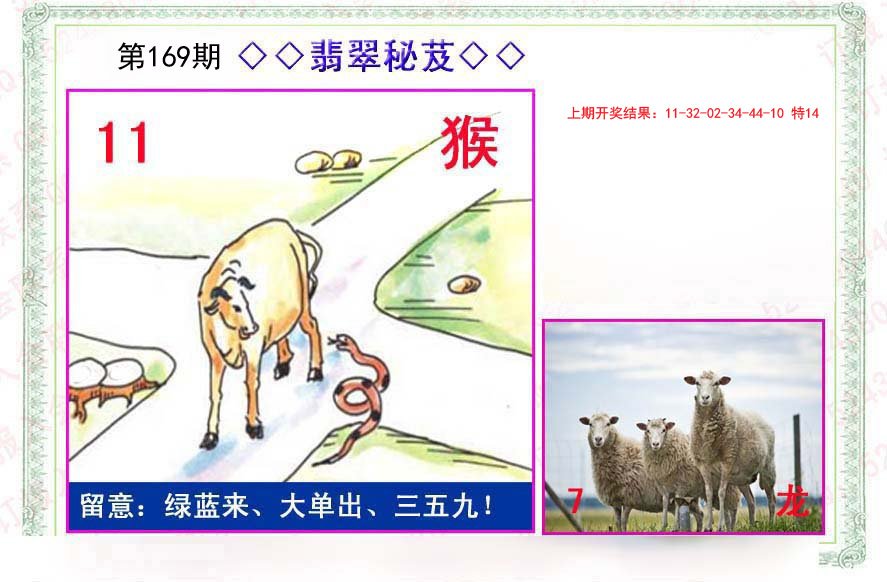 2024169期翡翠报