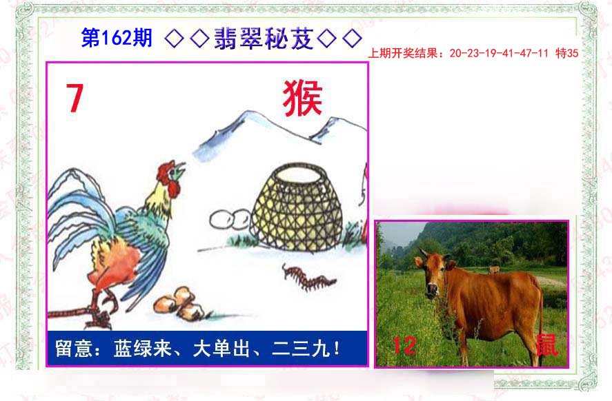 2024162期翡翠报