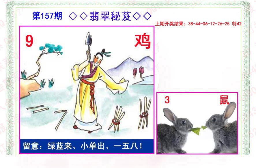 2024157期翡翠报