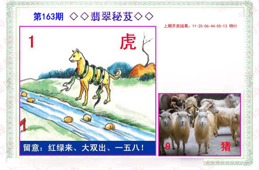 2024163期翡翠报