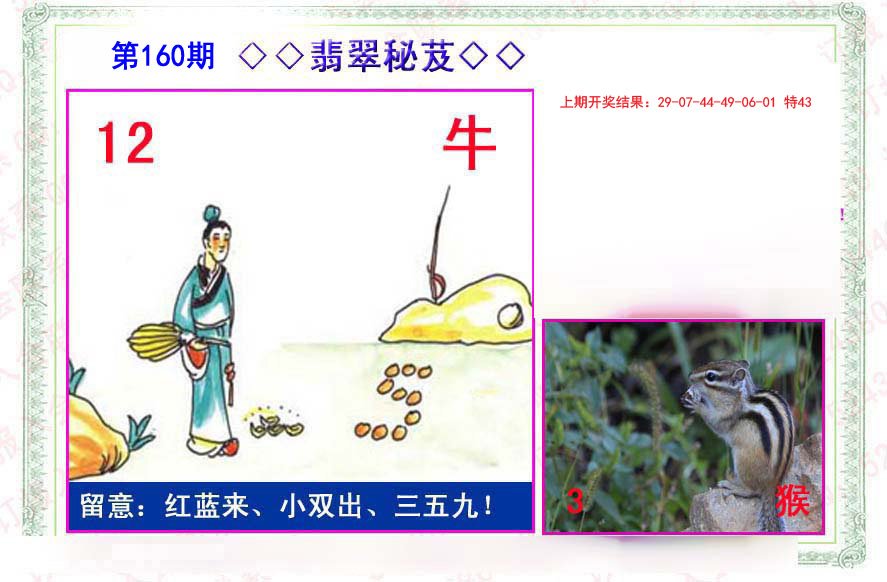 2024160期翡翠报