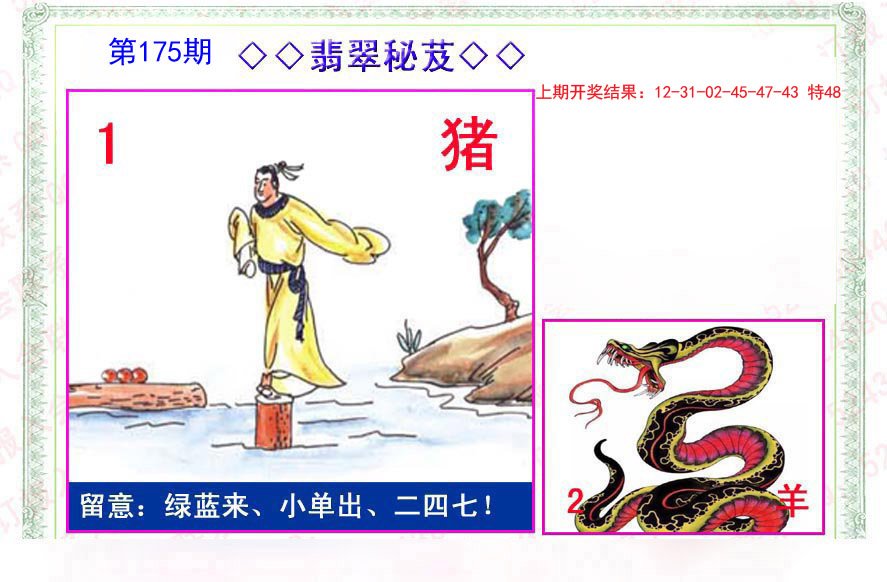 2024175期翡翠报