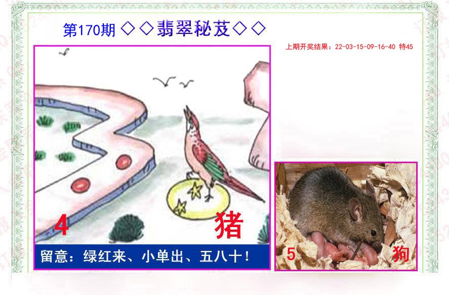 2024170期翡翠报