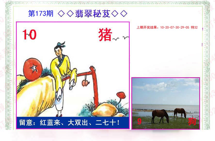 2024173期翡翠报