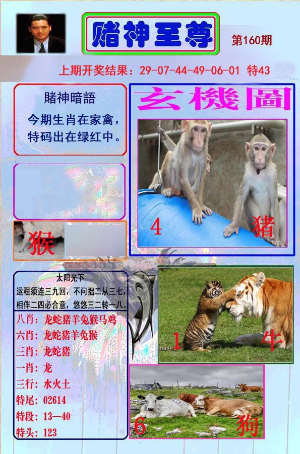 2024160期赌神至尊