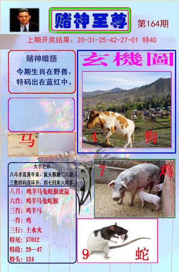 2024164期赌神至尊