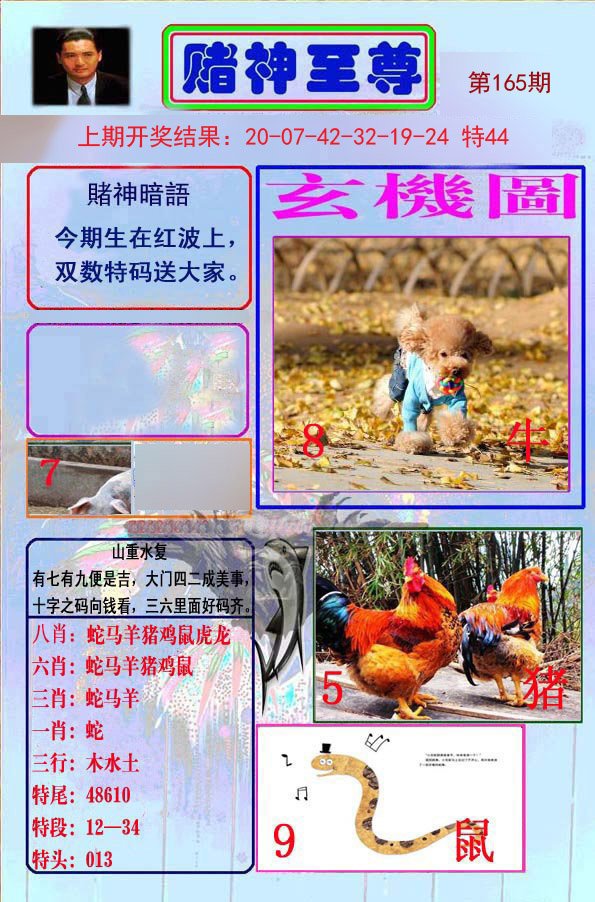2024165期赌神至尊