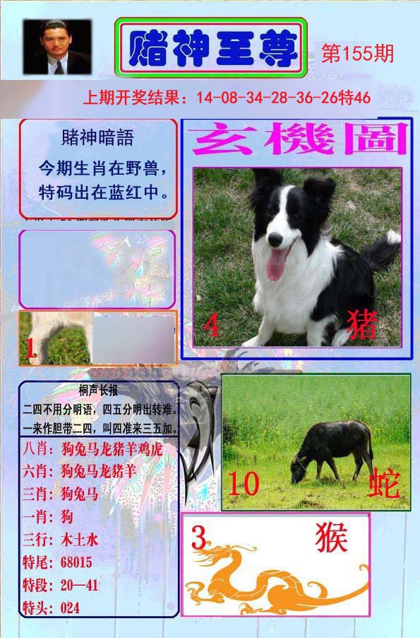 2024155期赌神至尊