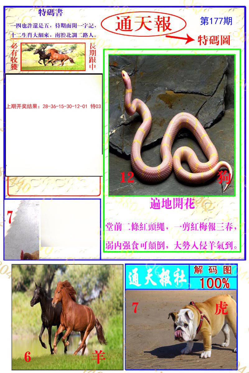 2024177期通天特解图