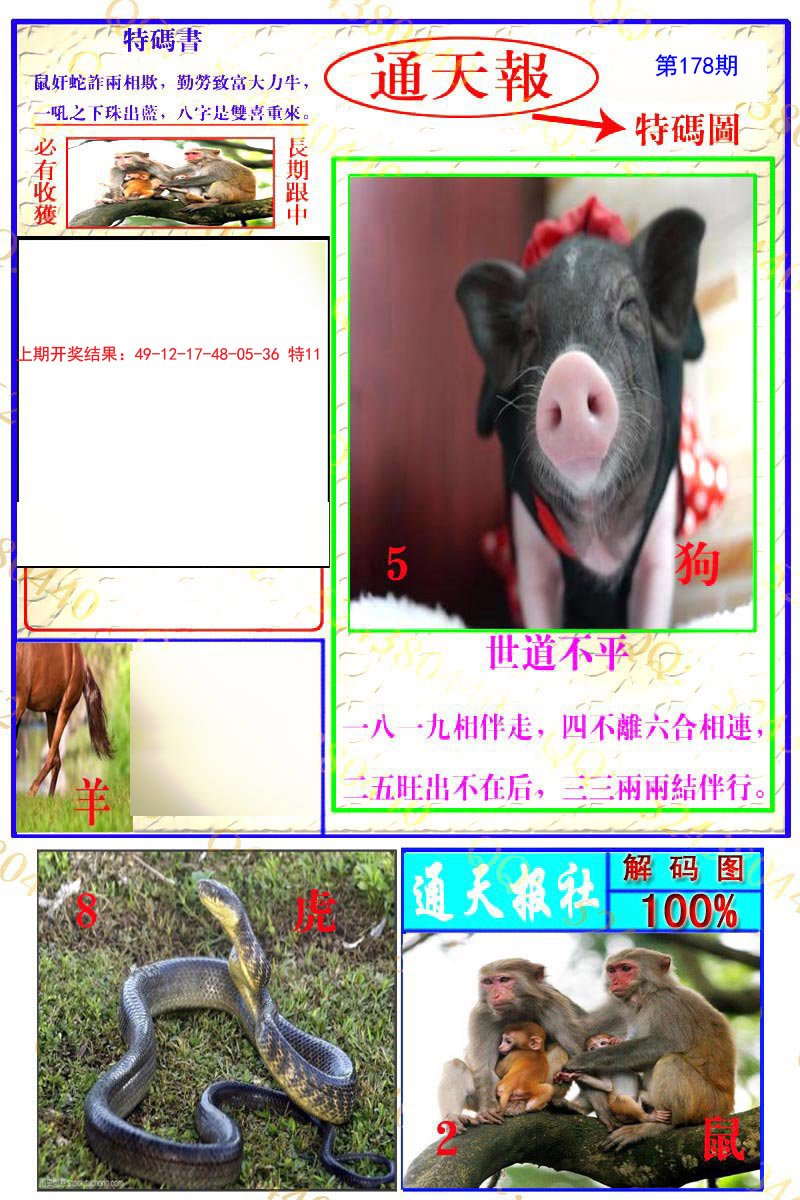 2024178期通天特解图