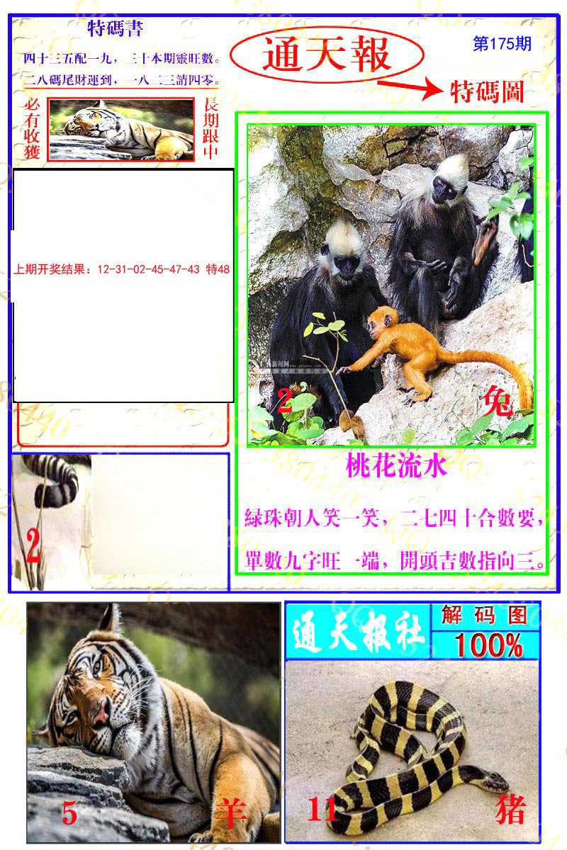 2024175期通天特解图