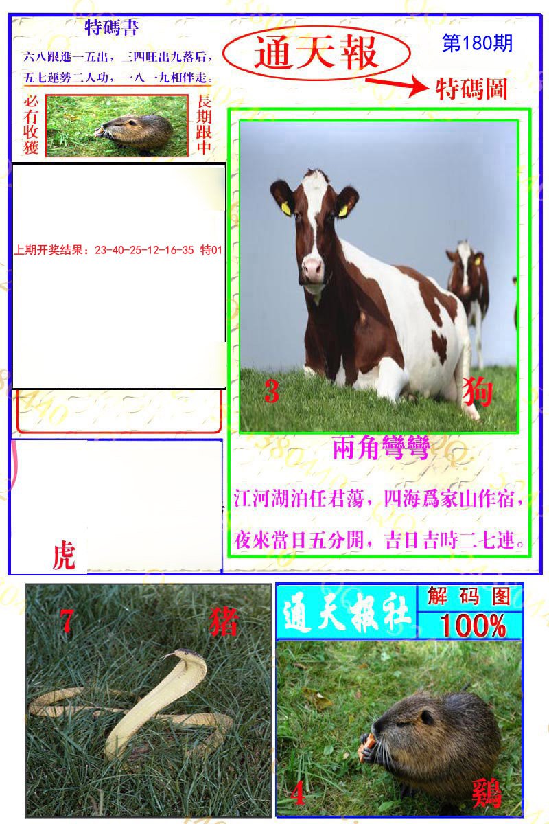 2024180期通天特解图
