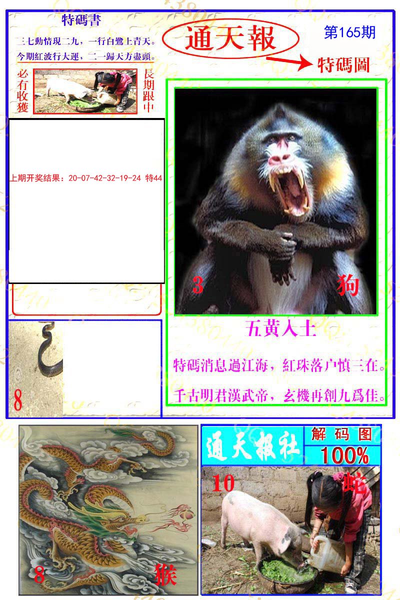 2024165期通天特解图