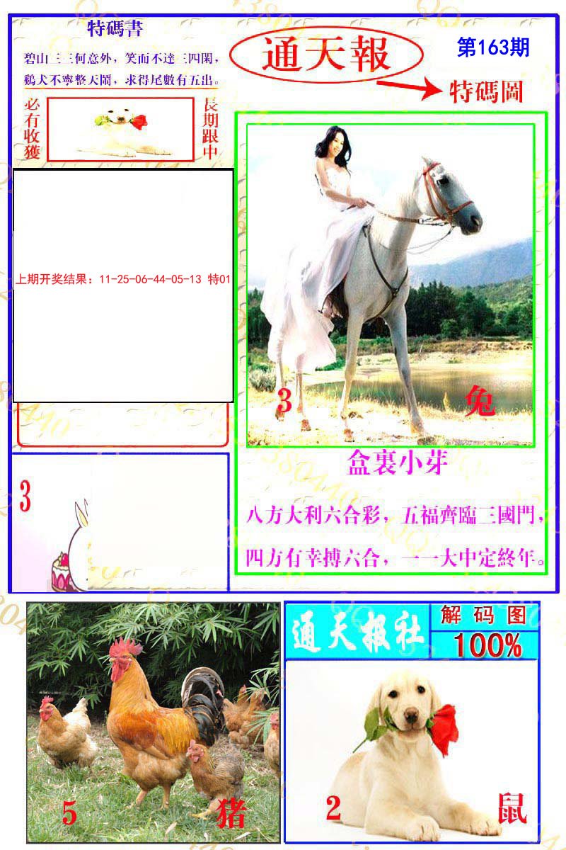 2024163期通天特解图