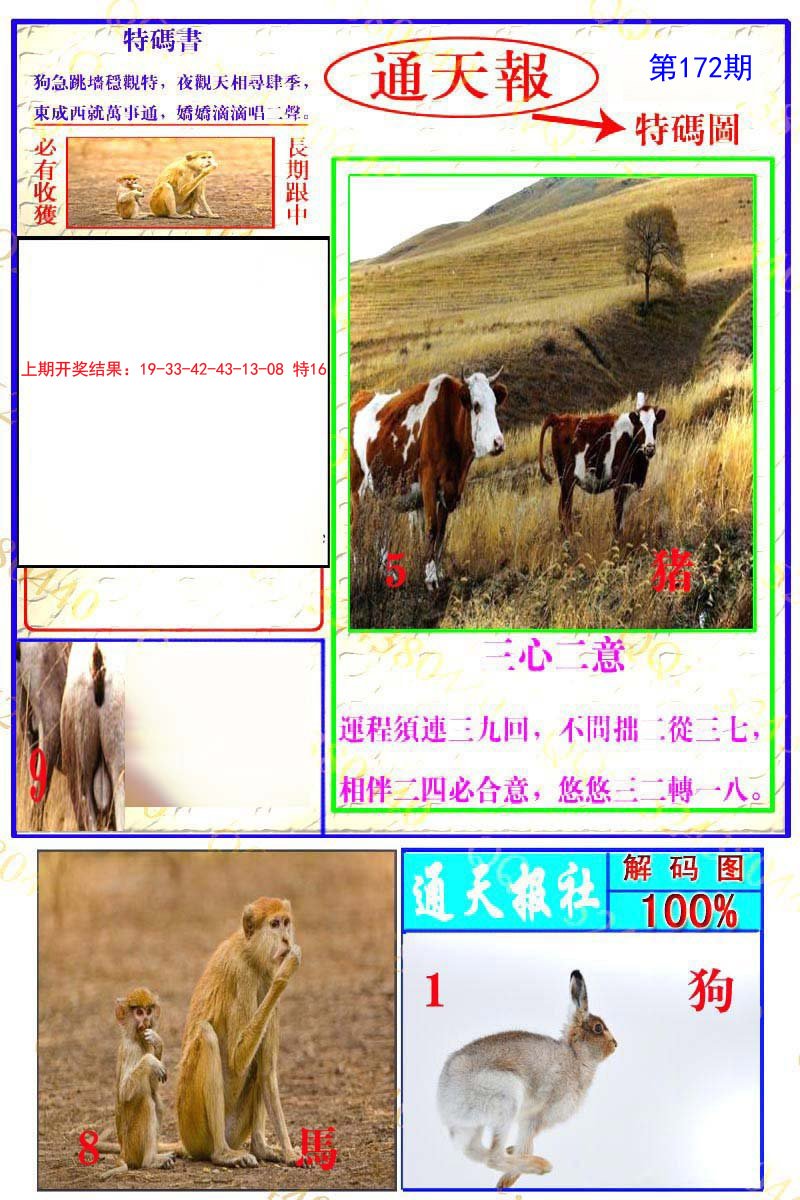 2024172期通天特解图
