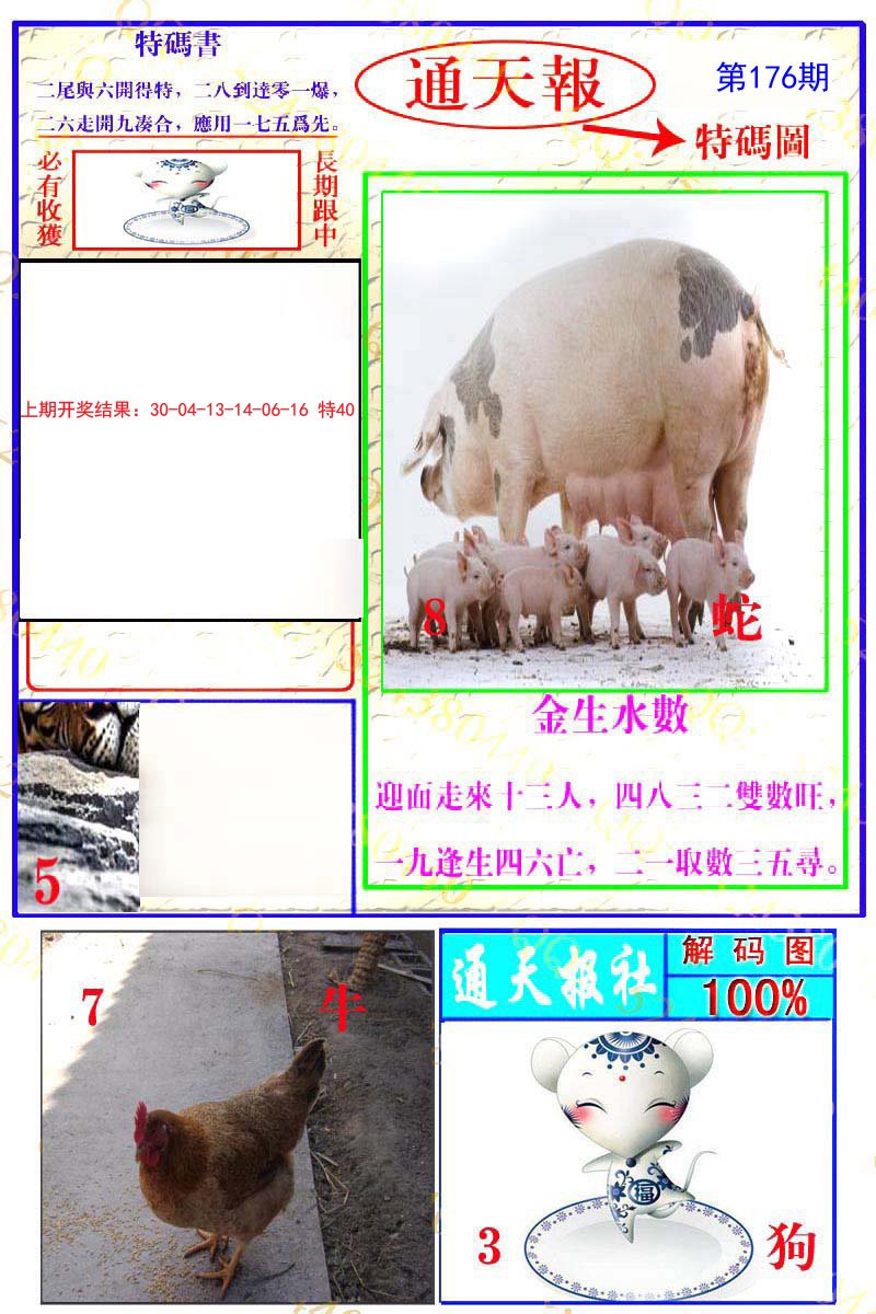2024176期通天特解图