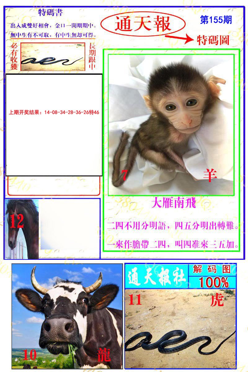 2024155期通天特解图
