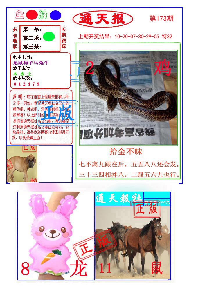 2024173期通天杀波图1
