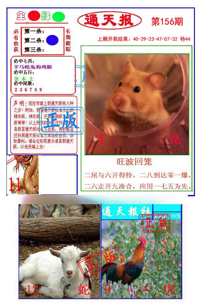 2024156期通天杀波图1