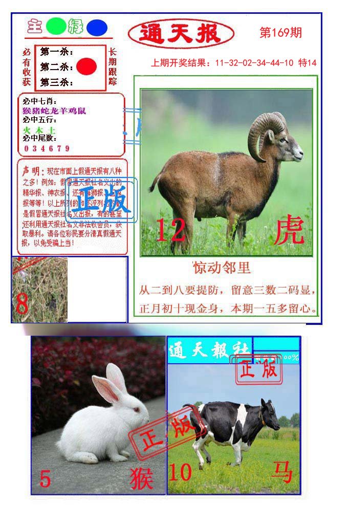 2024169期通天杀波图1