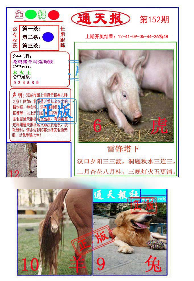 2024152期通天杀波图1
