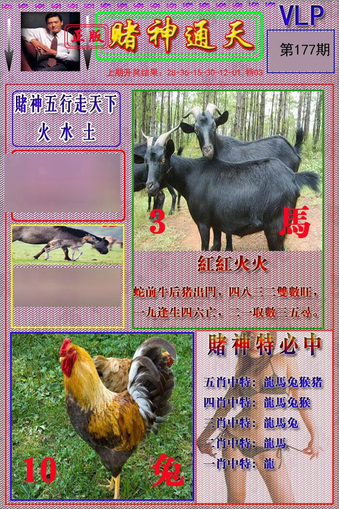 2024177期赌神通天报