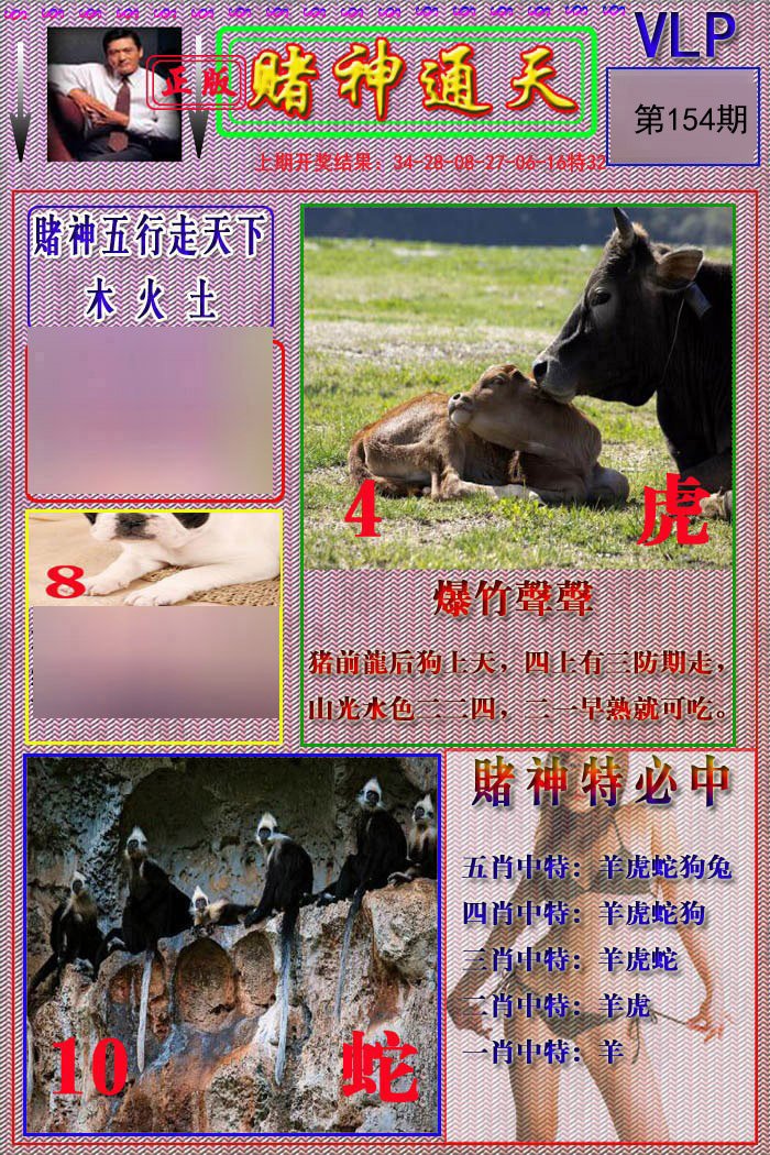 2024154期赌神通天报