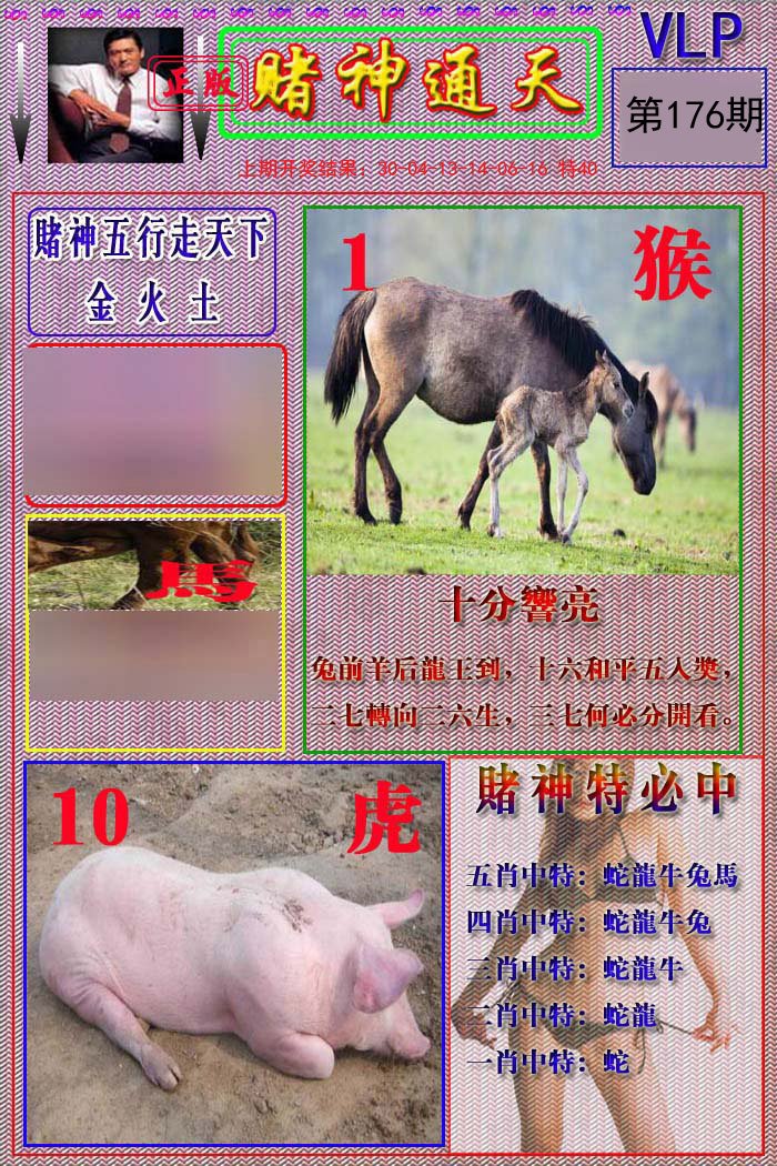 2024176期赌神通天报