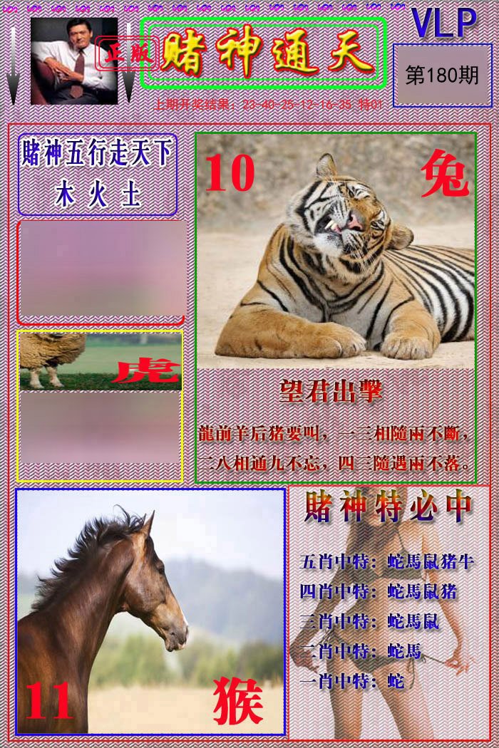 2024180期赌神通天报