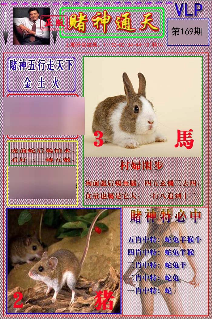 2024169期赌神通天报