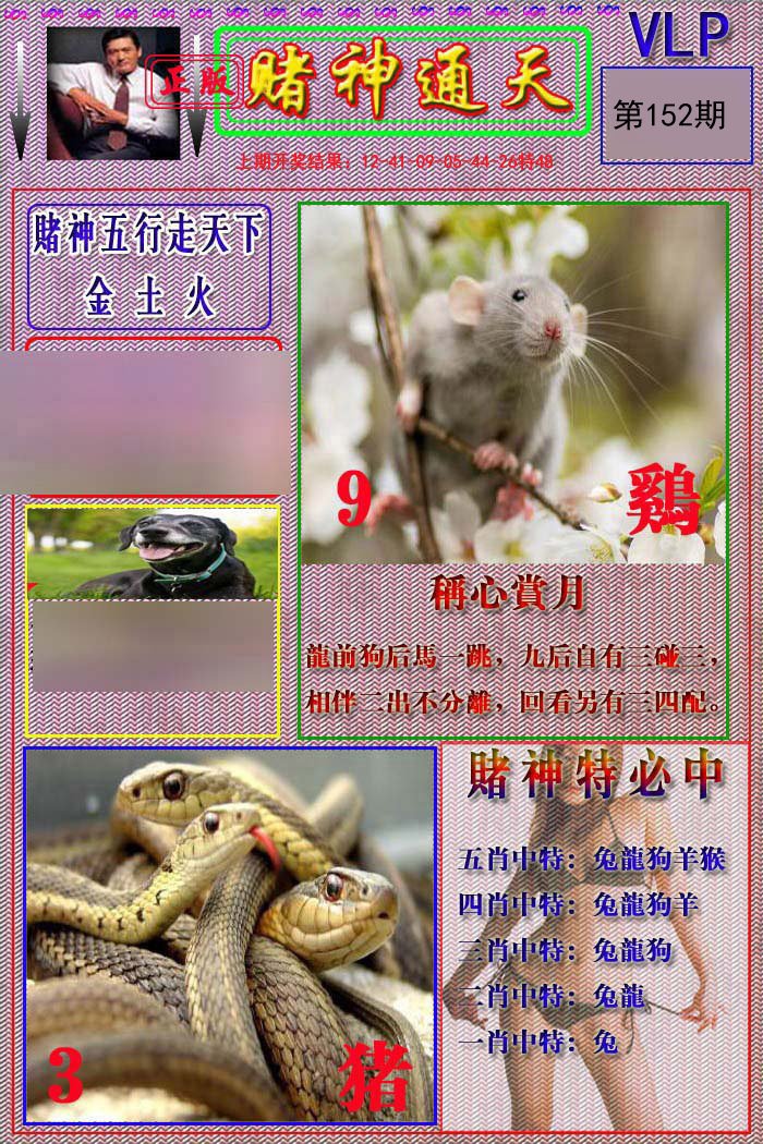 2024152期赌神通天报