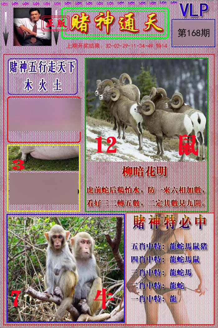 2024168期赌神通天报