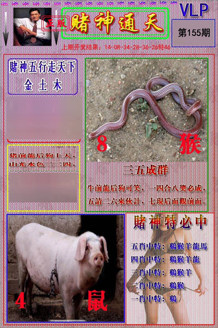 2024155期赌神通天报